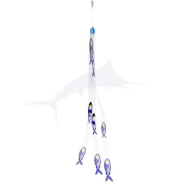 Stripteaser Bande 9 Fish - Bleu